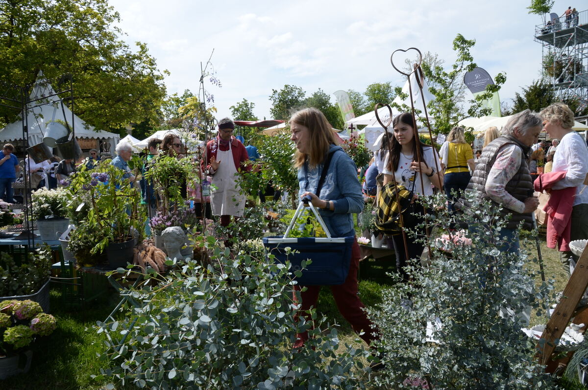 DSC_0043FOTO JÜRGEN MEYER