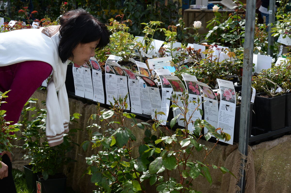 DSC_0049FOTO JÜRGEN MEYER