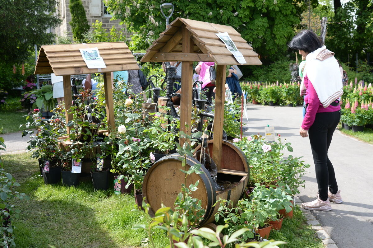 DSC_0050FOTO JÜRGEN MEYER