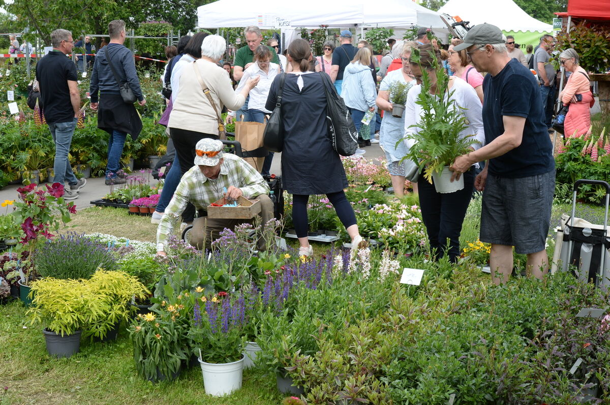 DSC_0004FOTO JÜRGEN MEYER