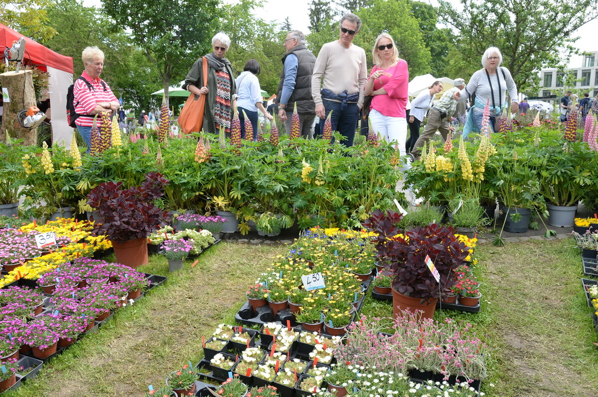 DSC_0005FOTO JÜRGEN MEYER