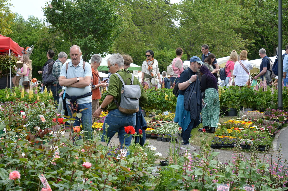 DSC_0006FOTO JÜRGEN MEYER