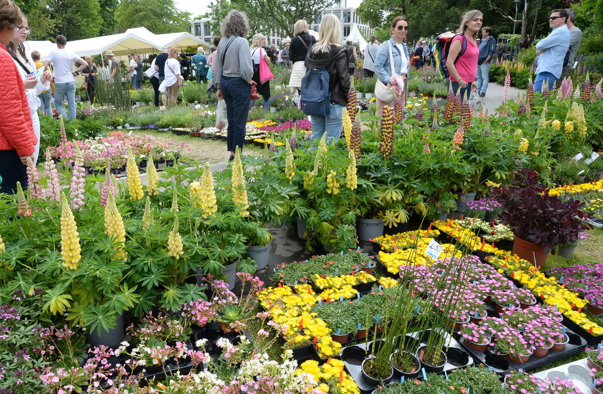 DSC_0007FOTO JÜRGEN MEYER