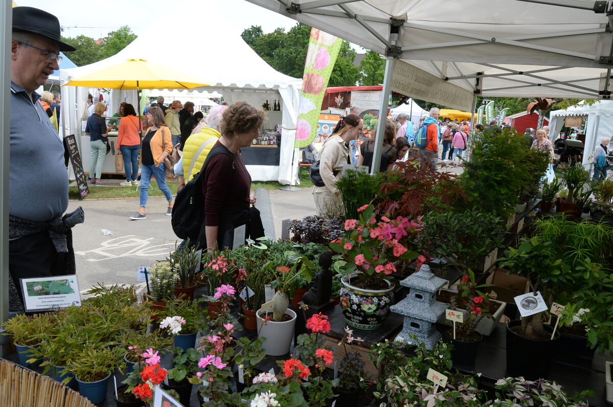 DSC_0008FOTO JÜRGEN MEYER