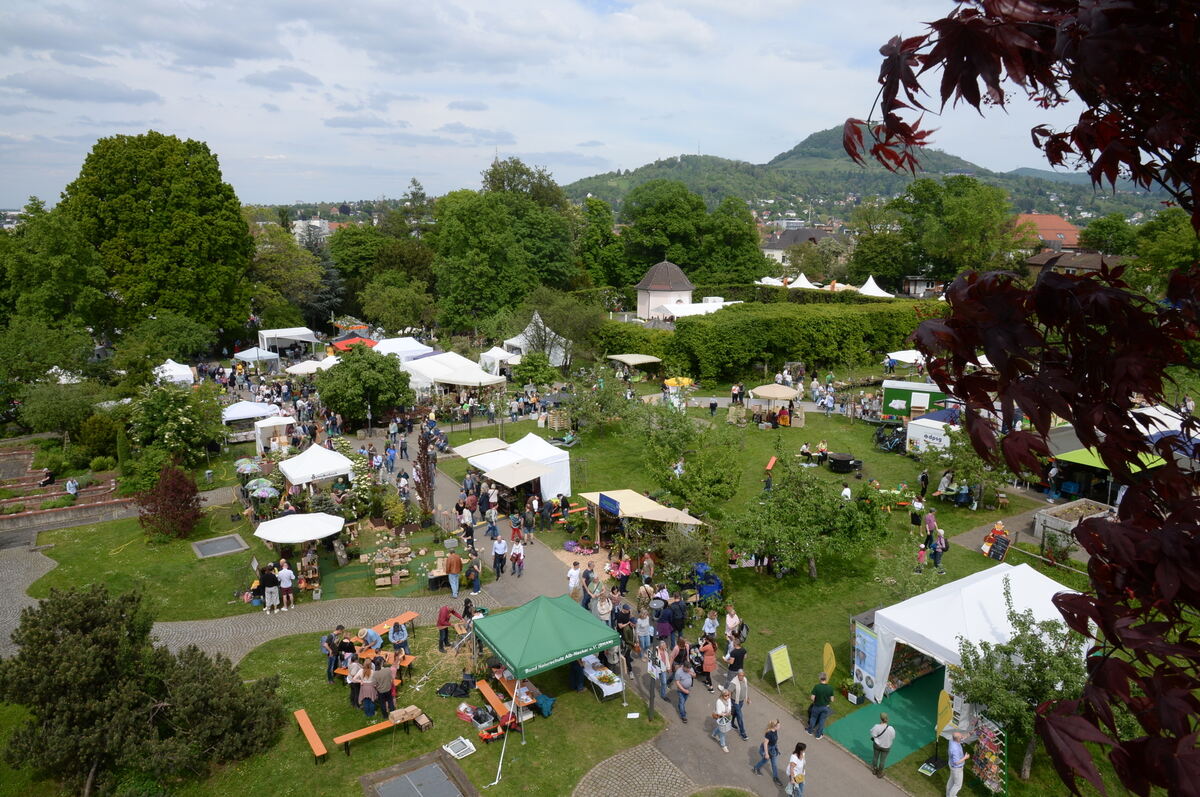 DSC_0010FOTO JÜRGEN MEYER