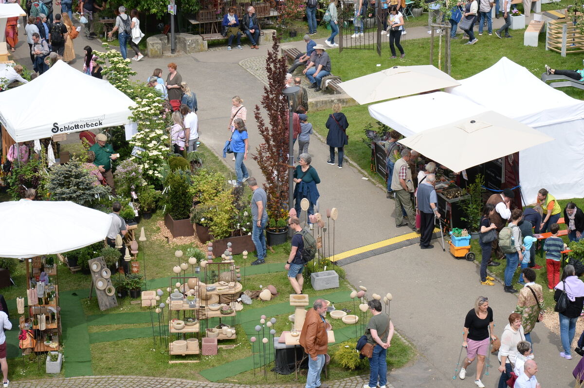 DSC_0011FOTO JÜRGEN MEYER