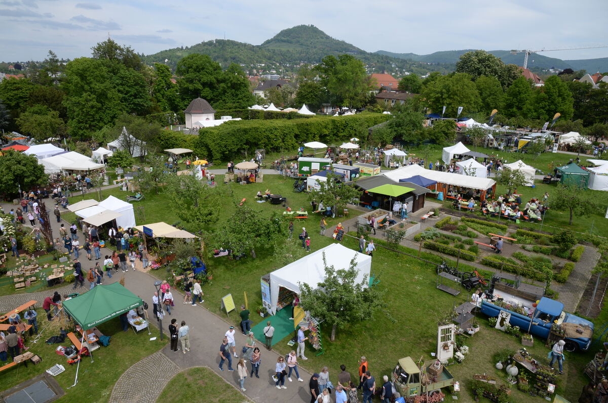 DSC_0012FOTO JÜRGEN MEYER