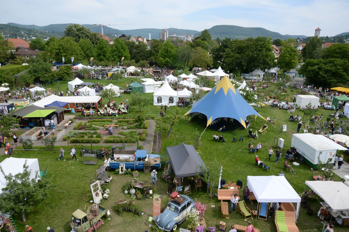 DSC_0013FOTO JÜRGEN MEYER