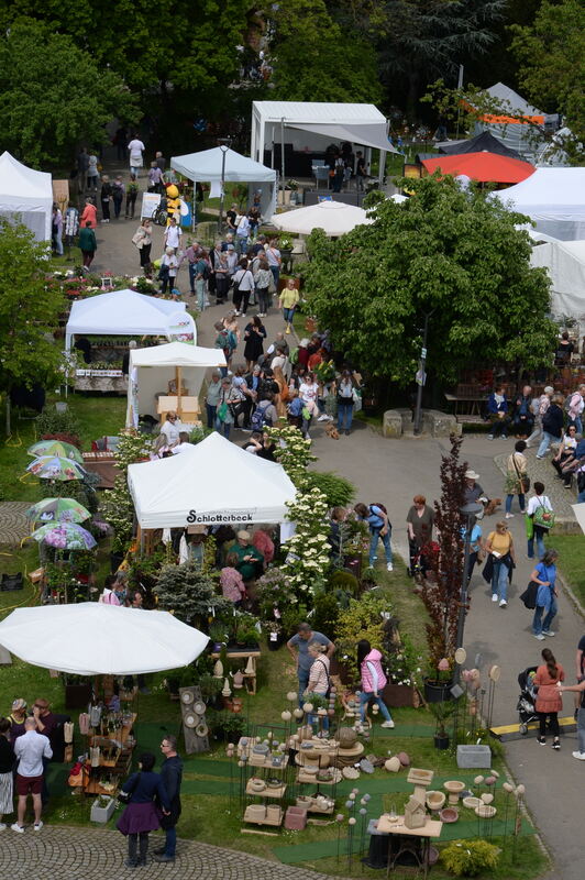 DSC_0014FOTO JÜRGEN MEYER