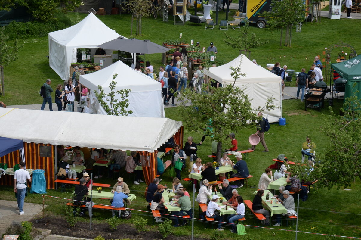 DSC_0015FOTO JÜRGEN MEYER