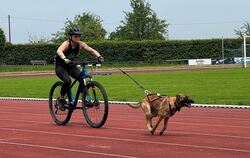 Diese Radfahrerin und ihr Hund zeigen im Metzinger Otto-Dipper-Stadion, wie Aktive des Südwestdeutschen Hundesportverbands mit i
