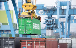 Am Mannheimer Hafen werden wohl 2023 weniger Container verladen. FOTO: GOLLNOW/DPA