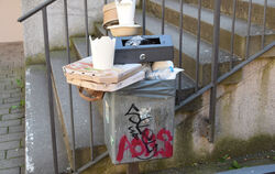 Ein übervoller Mülleimer an der Palmertreppe in Tübingen.  FOTO: KREIBICH