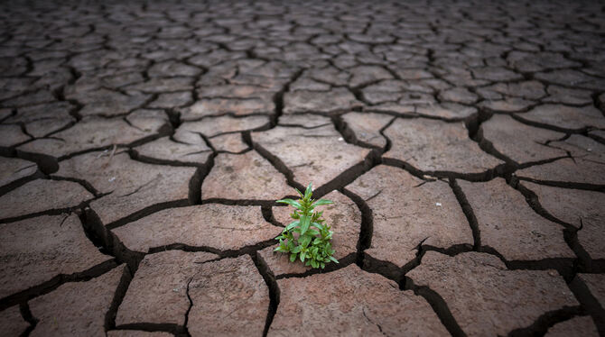 Das Wasser wird knapper wie hier in Spanien und führt weltweit zu immer mehr Konflikten. FOTO: MORENATTI/ DPA Das Wasser wird knapper wie hier in Spanien und führt weltweit zu immer mehr Konflikten. FOTO: MORENATTI/ DPA