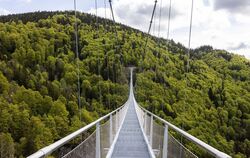 Hängebrücke über die Todtnauer Wasserfälle