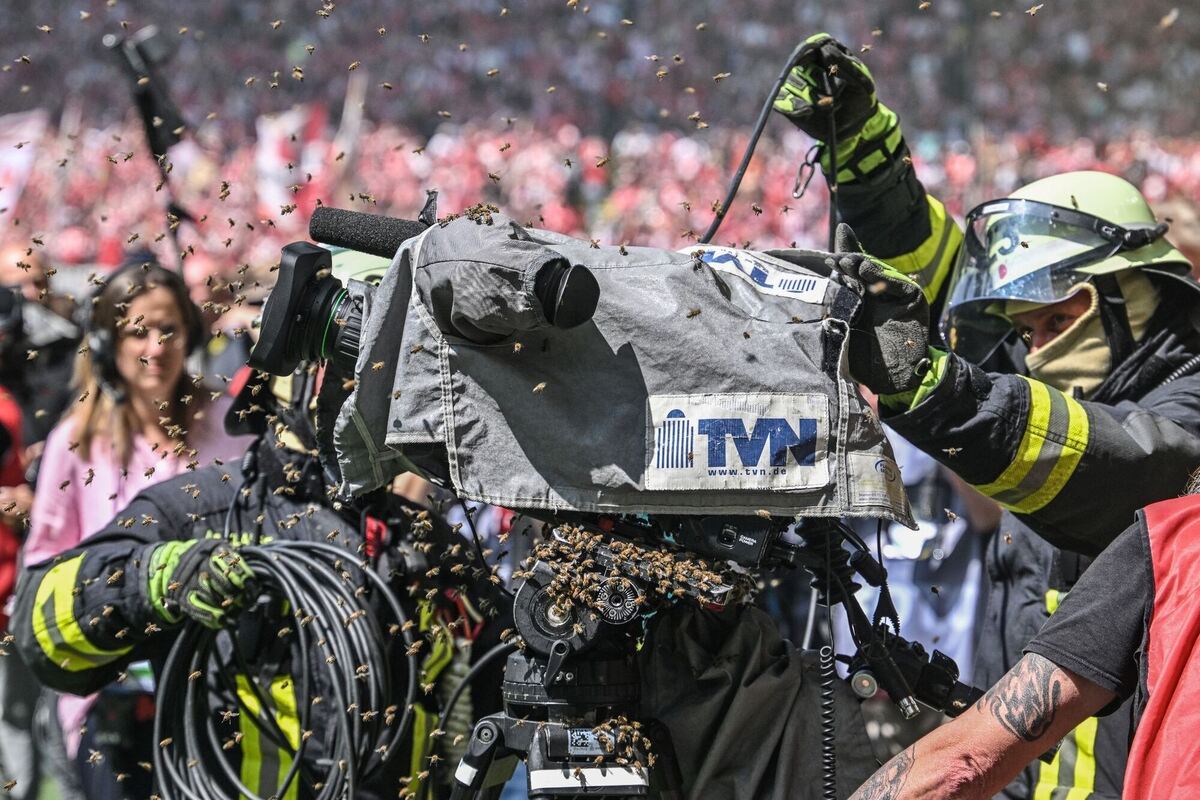 Spielfeldrand-Attacke