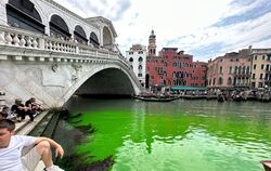Canale Grand in Venedig leuchtet grün