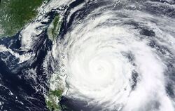 Taifun
