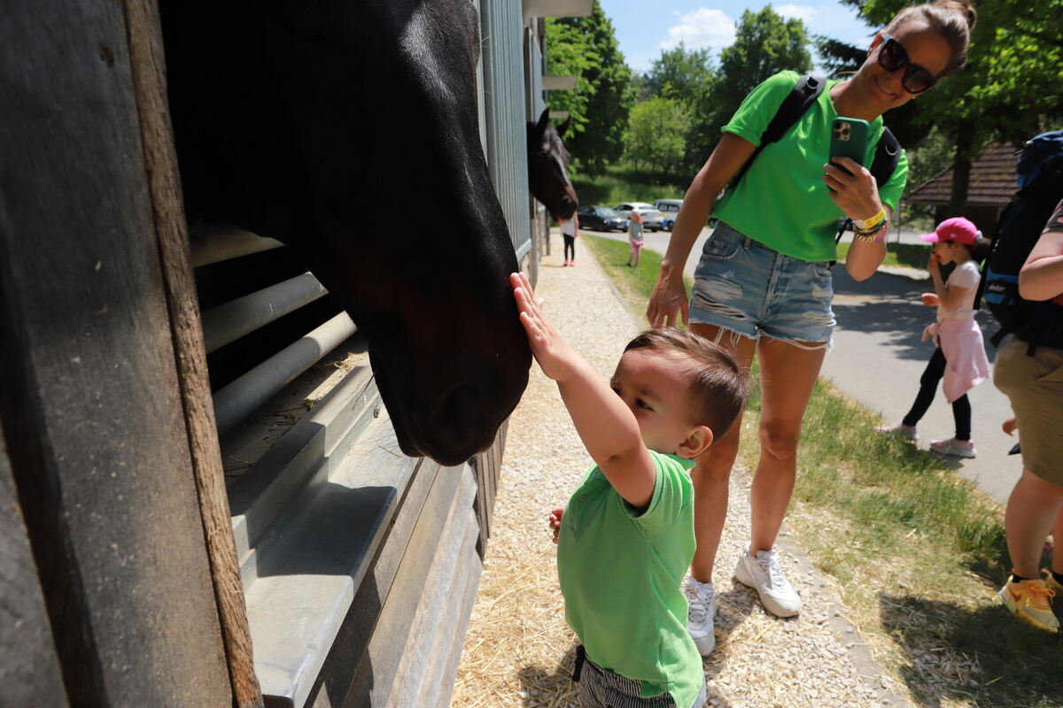 Kindertag_Marbach__17