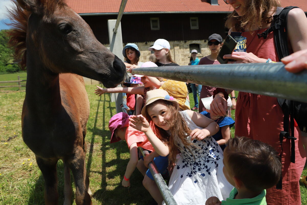 Kindertag_Marbach__19