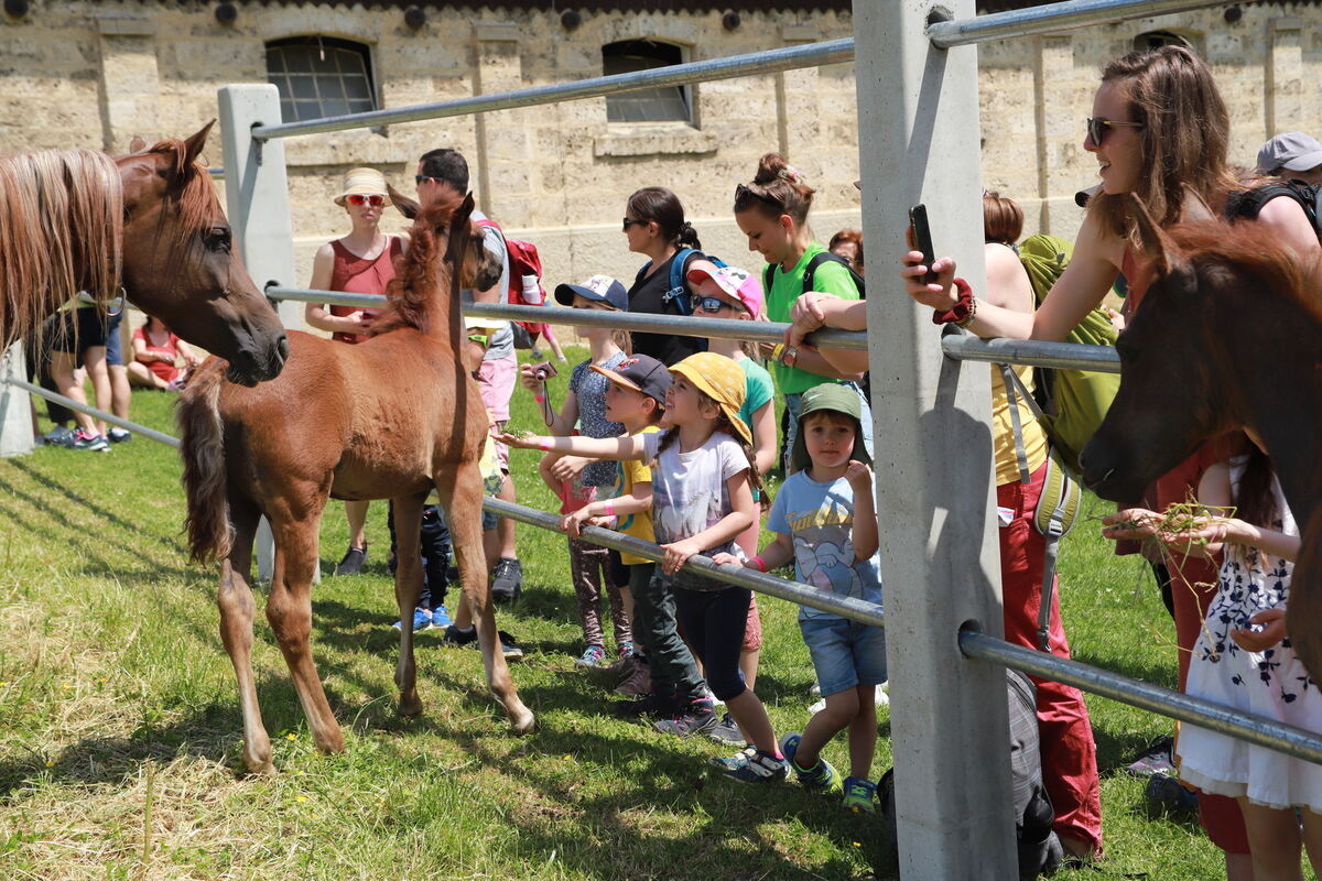Kindertag_Marbach__20