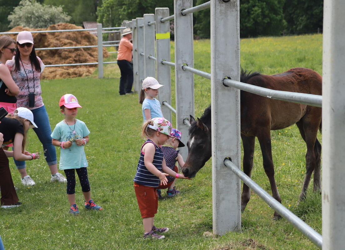 Kindertag_Marbach__21