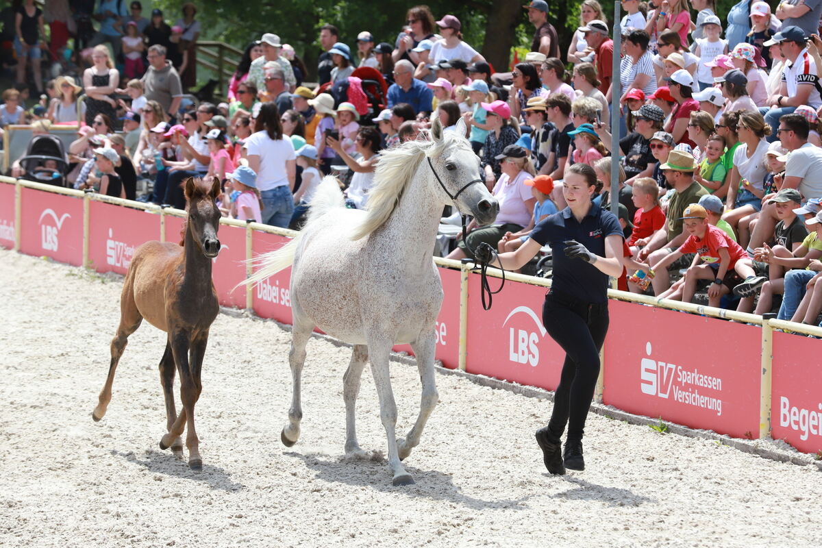 Kindertag_Marbach__28