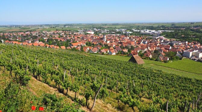 Elsass feiert Weinstraße