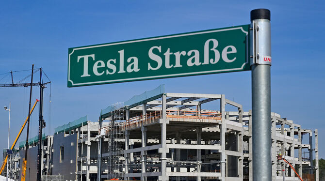 Der Bau der Tesla-Fabrik stößt nicht bei allen auf Begeisterung.  FOTO: PLEUL/DPA