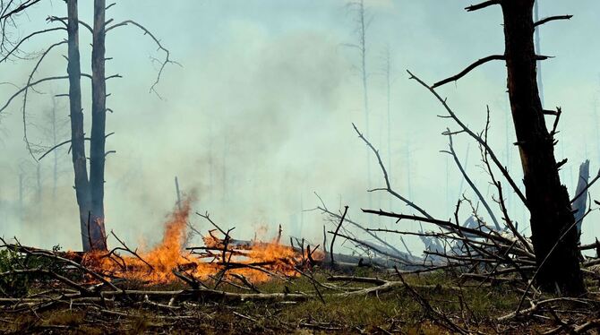Waldbrand bei Jüterbog