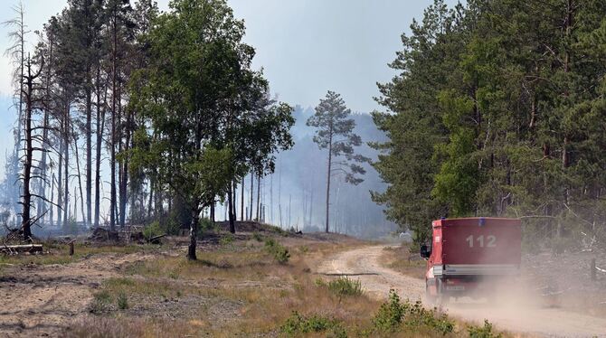 Waldbrand bei Jüterbog Waldbrand bei Jüterbog