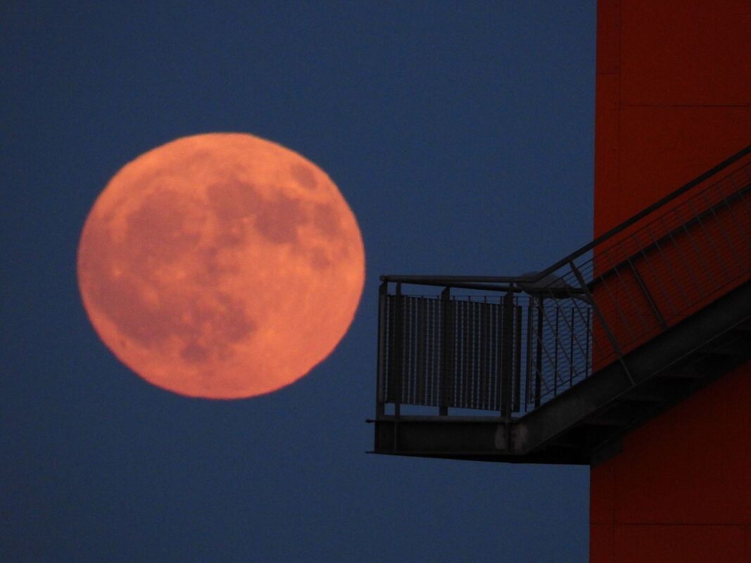 Erdbeermond Erdbeermond