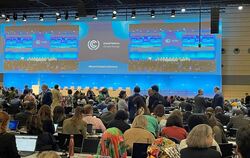 UN-Klimakonferenz in Bonn