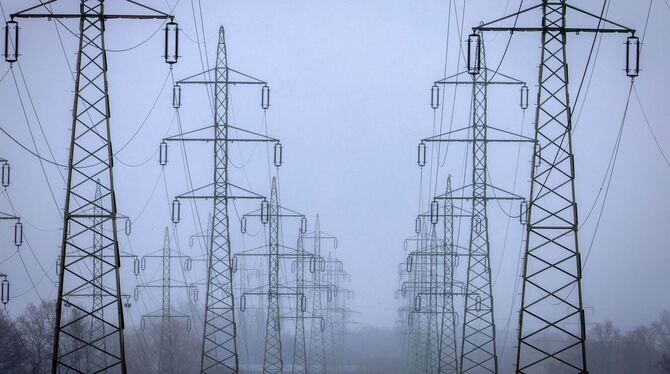Netzausbau für Erneuerbare Energien