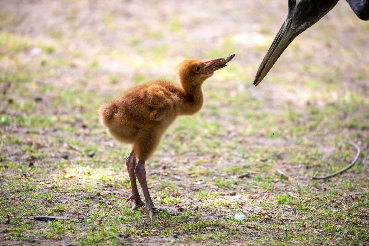 Angekommen Angekommen