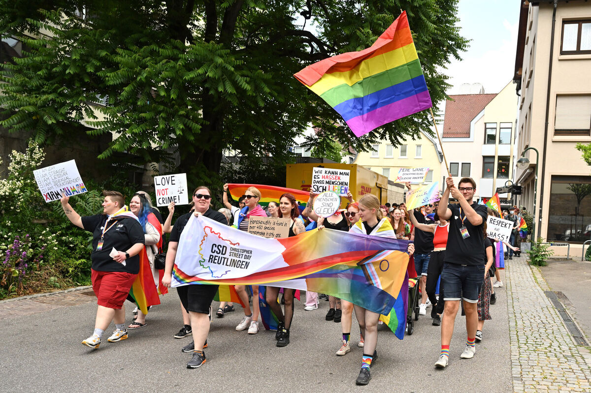 csd_rt_06_23_pieth_13