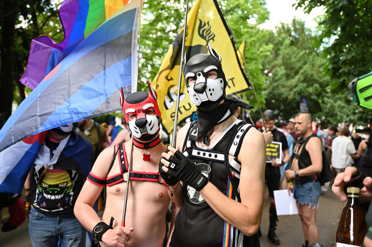 csd_rt_06_23_pieth_3