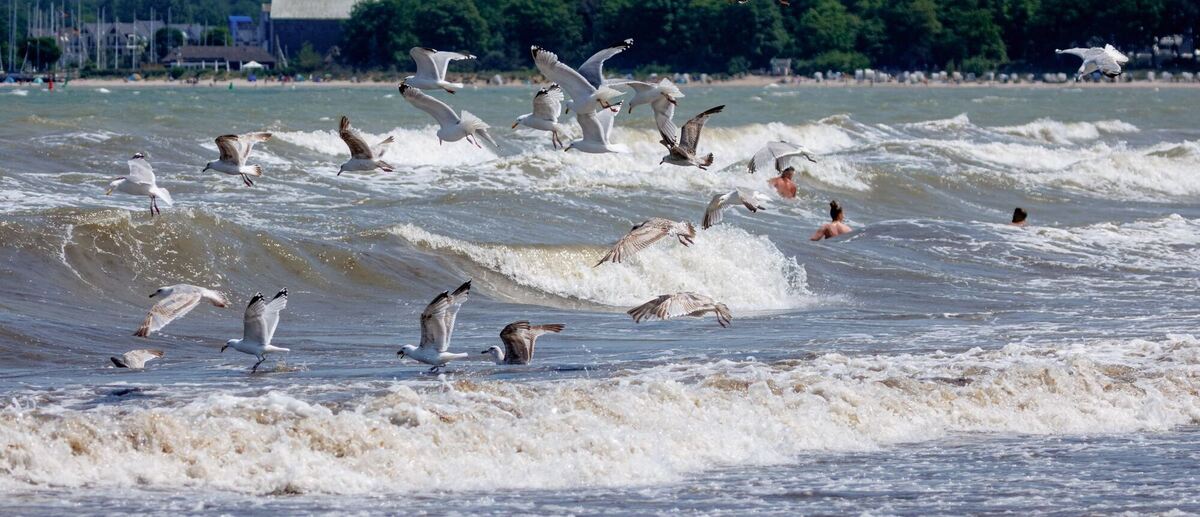 Essenszeit Essenszeit
