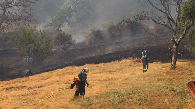 Knapp zwei Hektar Wiese und Wald bei Gaggenau in Brand