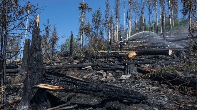 Löscharbeiten nach Waldbrand