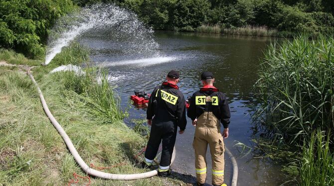Fischsterben im Gleiwitzer Kanal in Polen