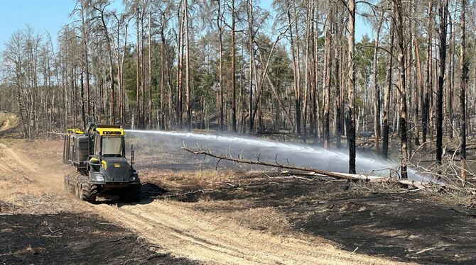 Waldbrandgebiet bei Lübtheen