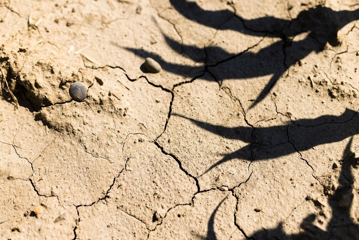 Trockenheit