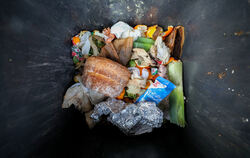 So sehen falsch befüllte Biomülltonnen aus: Neben Bioabfällen sind Alufolie und Plastikfolie zu sehen.