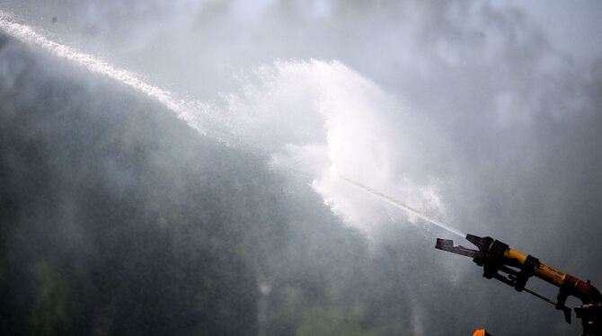 Trockenheit in Niedersachsen