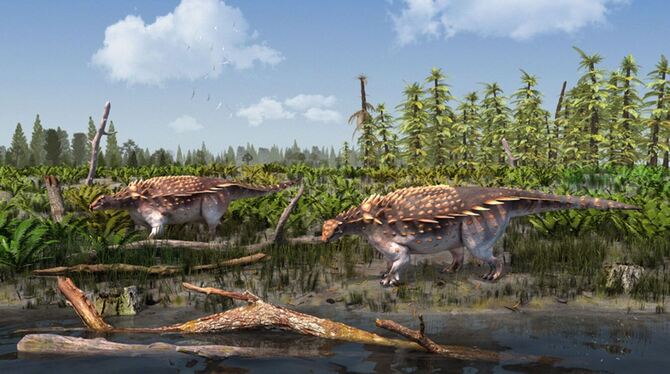 Neue Dinoart Vectipelta barretti