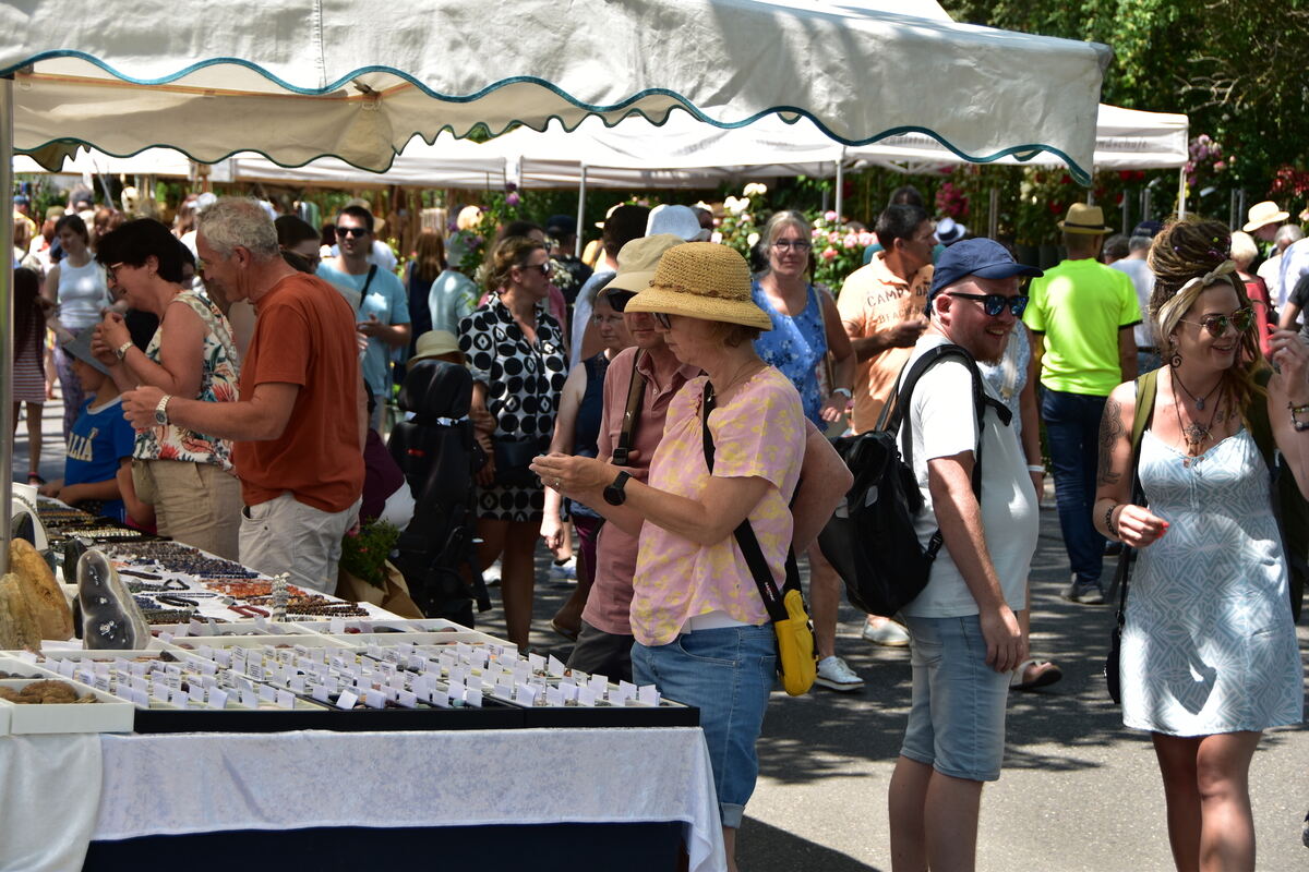 DSC_0055FOTOS JÜRGEN MEYER