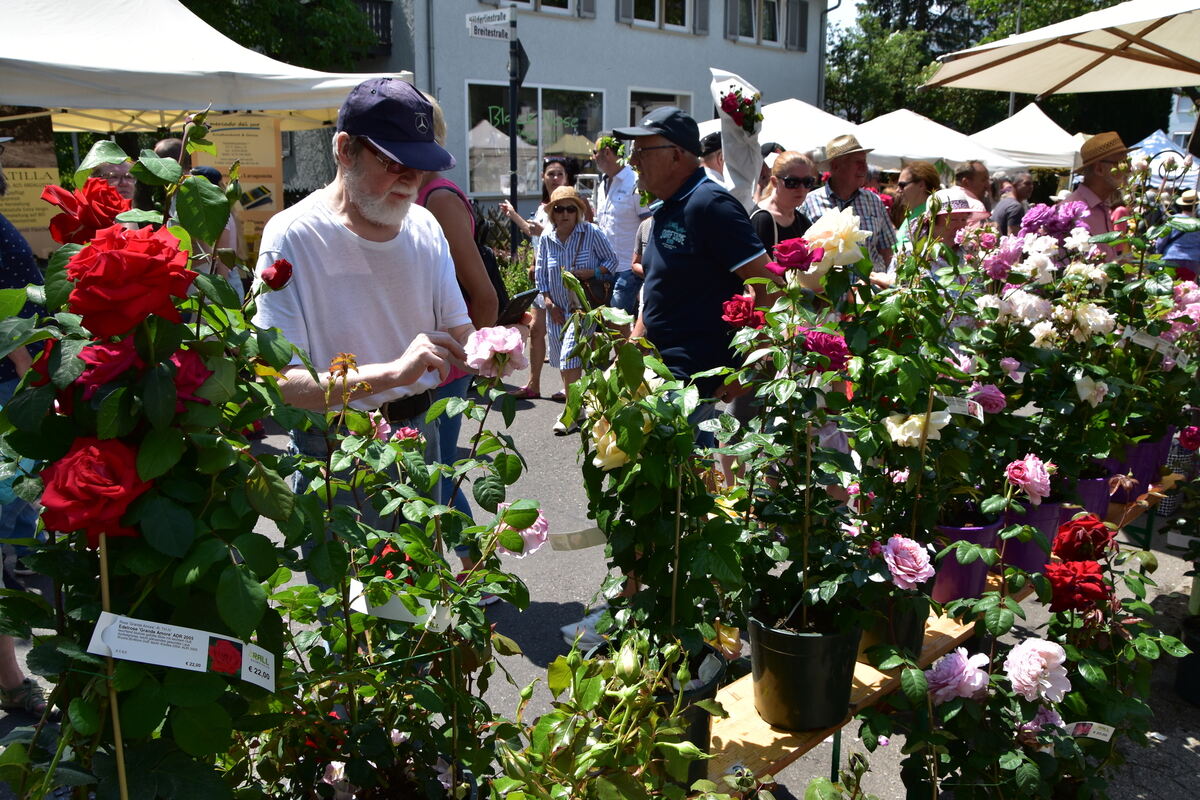 DSC_0054FOTOS JÜRGEN MEYER