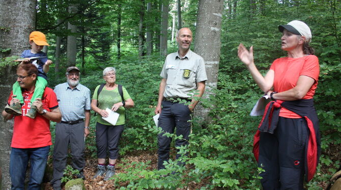 Förster Reinhold Gerster (Zweiter von rechts) überließ die Führung beim diesjährigen Waldumgang zum großen Teil Erzieherinnen. F