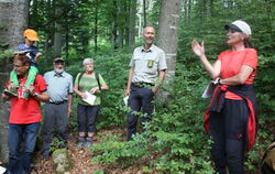 Förster Reinhold Gerster (Zweiter von rechts) überließ die Führung beim diesjährigen Waldumgang zum großen Teil Erzieherinnen. F